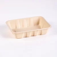 UT100 SUGARCANE TRAY W/LID 4*100PCS شكركان يو تى