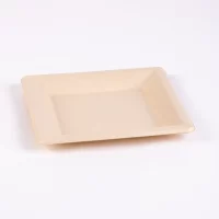SUGARCANE SQUARE PLATE 8" 10*50PCS صحن صحي 8 انش مربع