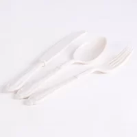 VIP WHITE FORK 20*25PCS شوكة ابيض
