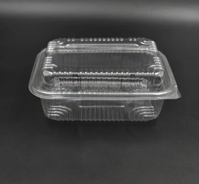 PLASTIC RECT HINGED BOX COLLECTIONS